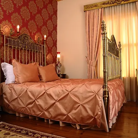 Erten Otel 4*