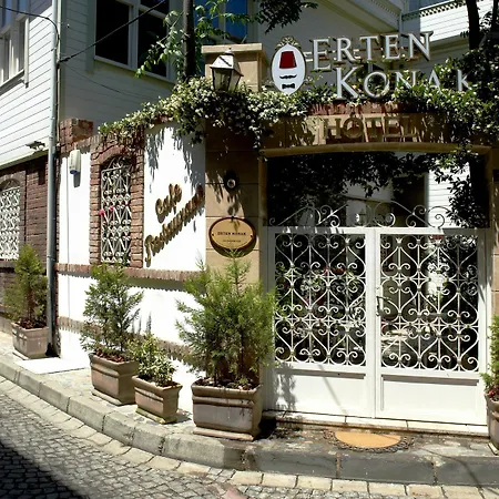 Erten Otel 4*