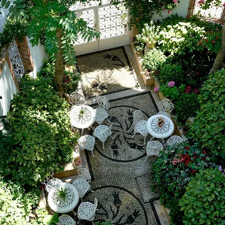 Erten Istanbul