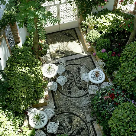 Erten Istambul